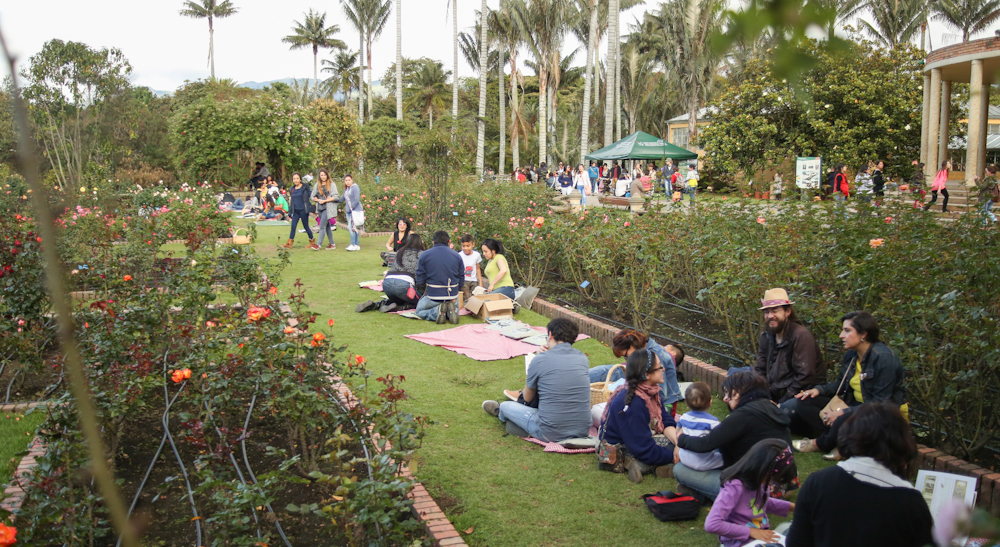 PICNIC LITERARIO By GISELA ZaRATE-31
