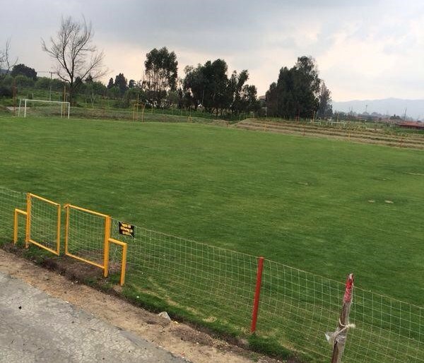 morena-estadio-600x514