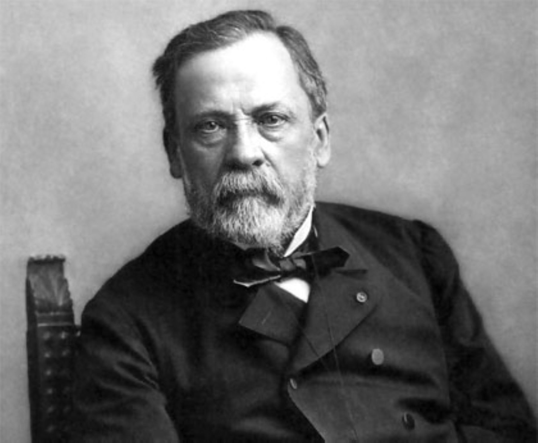 1 Pasteur