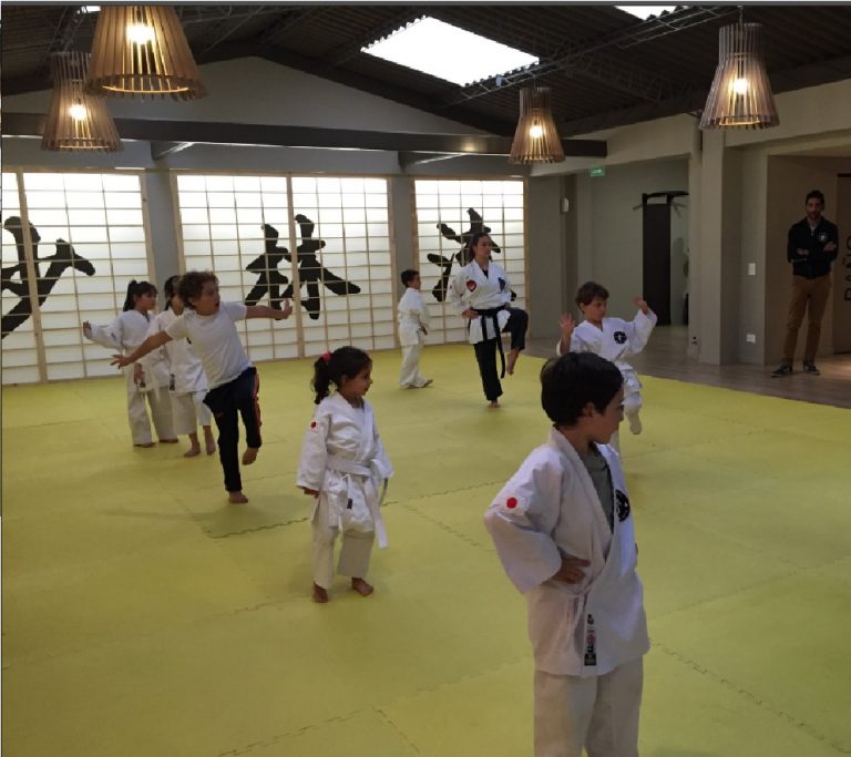 El Karate, ¿deporte o arte?