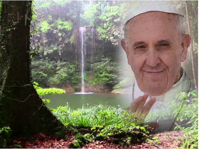 Encíclica verde del Papa Francisco