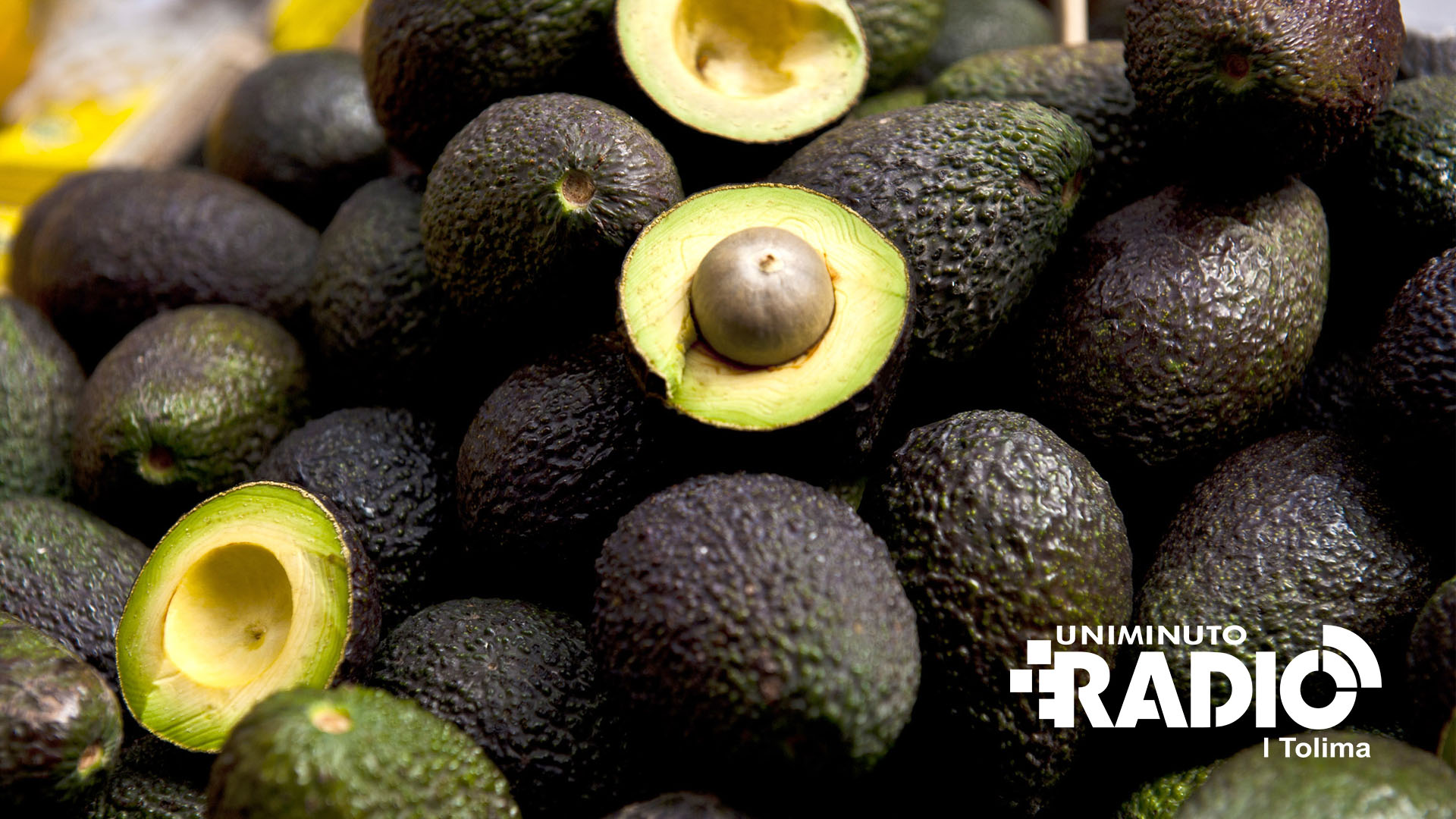 aguacate-aguacate aguacate