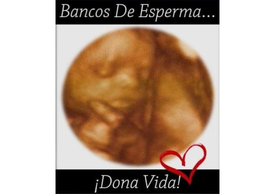 bancos de espermas