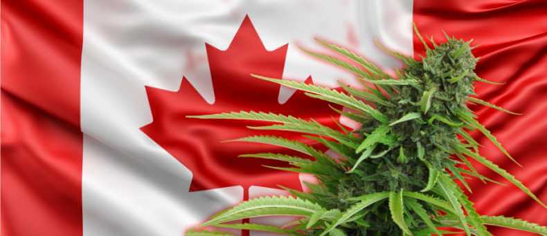 Desde mañana se legaliza la marihuana en Canadá