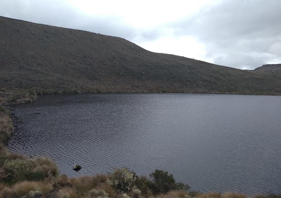 Laguna Los Colorados
