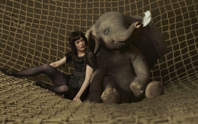 Dumbo Dumbo