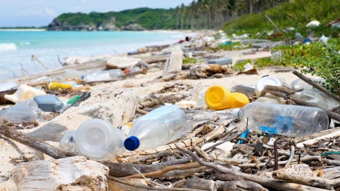 Medio Ambiente