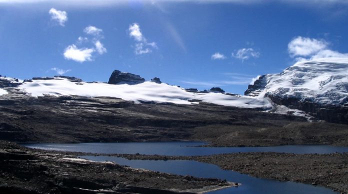 Cocuy