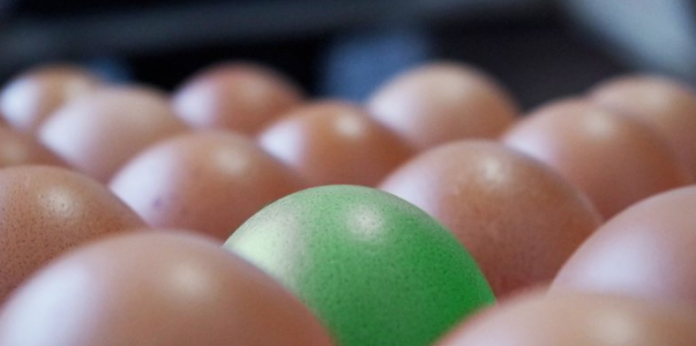 Huevos con sabores