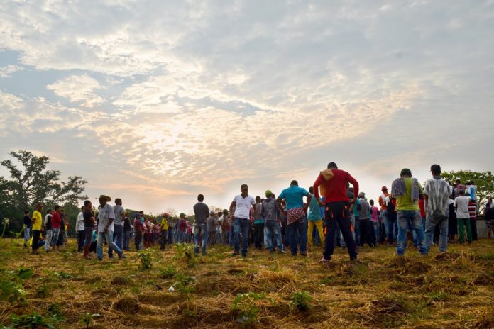 campesinos