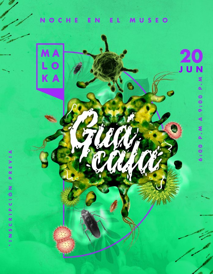 GUACALA-MALOKA