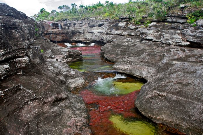 Caño