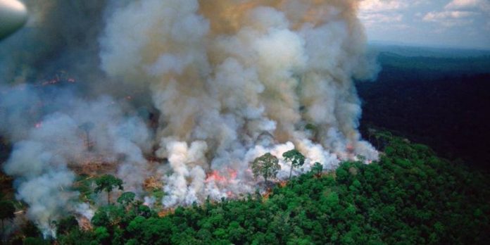 Incendio Amazonas