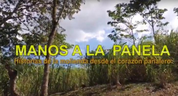 LA PANELA