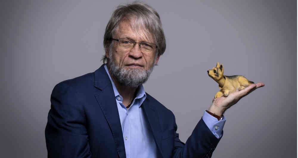 Mockus en pie de lucha, Consejo de estado mantiene su investidura