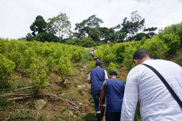 catatumbo-human rights watch