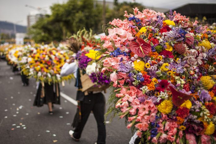 flores editada