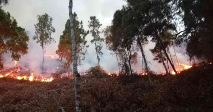 Incendio Nimaima