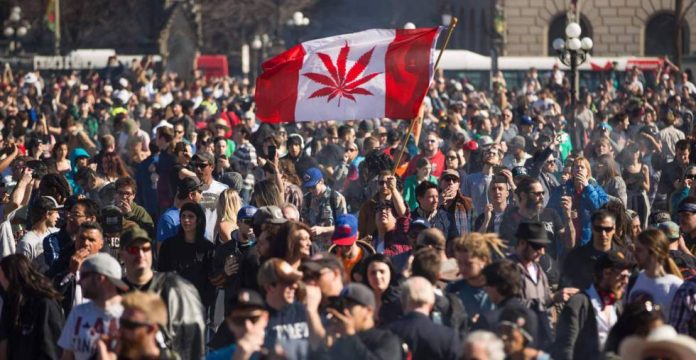 canabis en Canada