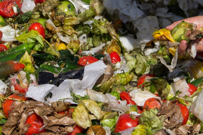 Desperdicio de alimentos