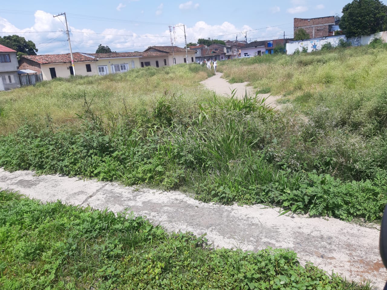 Cero para los Colegios 10 en Guacarí
