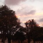 David Arengas Gonzalez 3