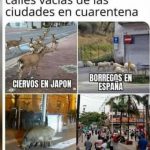 cua3