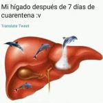 cua45