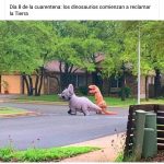 cua6