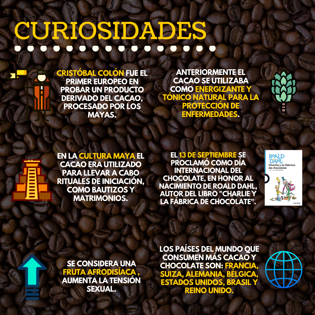 [Infografía] Día mundial del cacao, datos y curiosidades