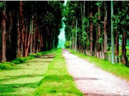Ciudad Verde, patrimonio natural de Soacha, en constante transformación