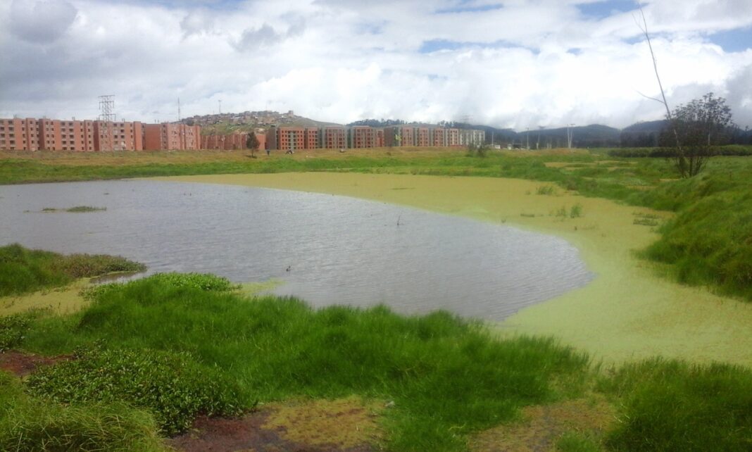 Los Humedales hacen parte del ecosistema en Ciudad Verde. Foto: Leydi Katerine Fernández Fernández