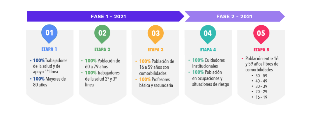 etapas de vacunación