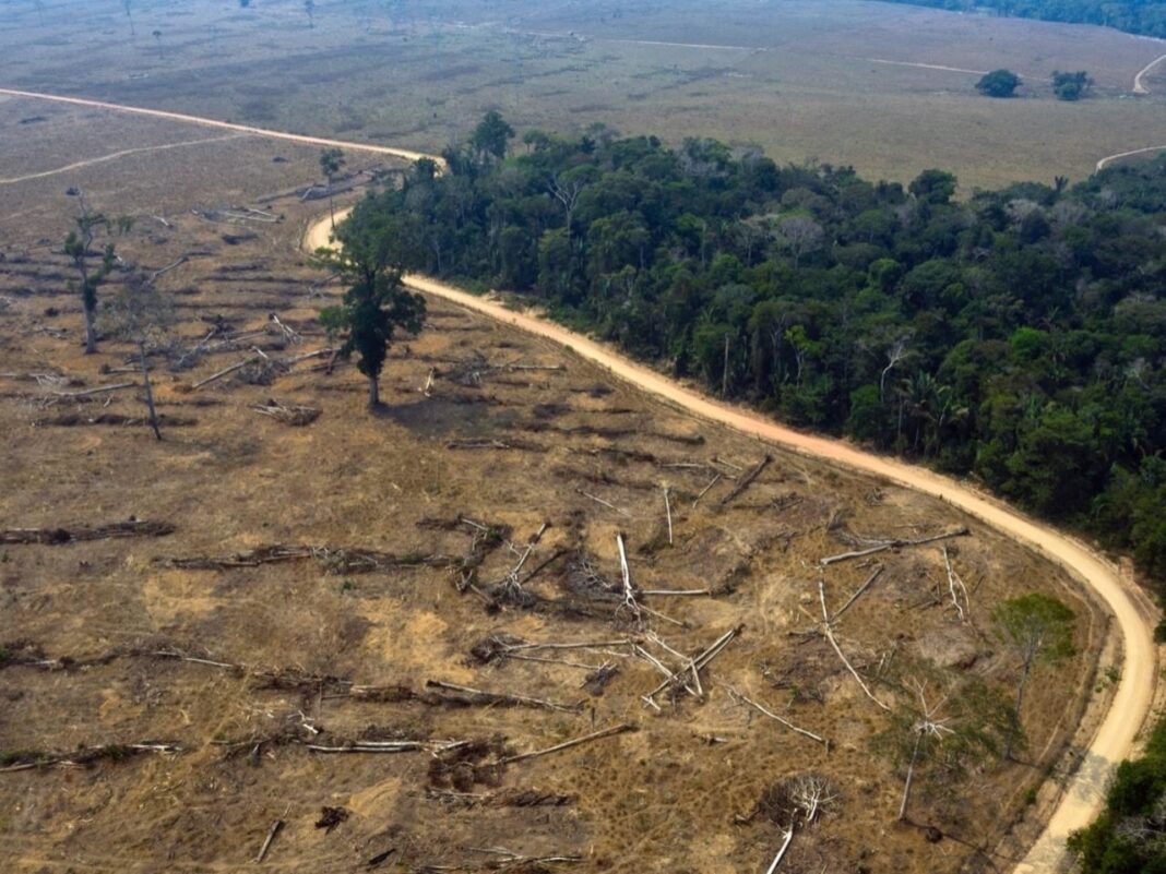 Foto tomada de: Noticias Ambientales