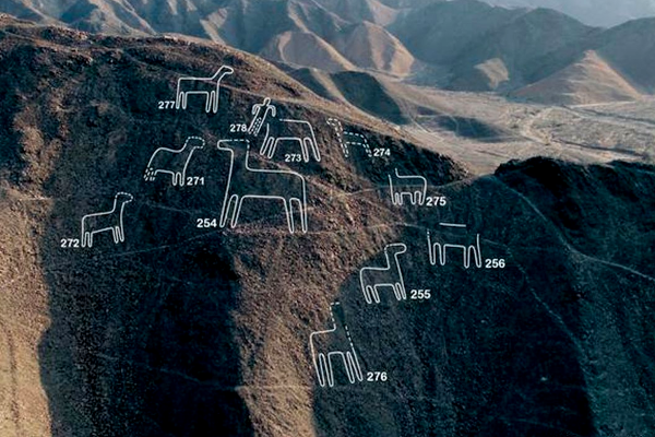 Investigadores académicos japoneses han descubierto mas geoglifos en Nazca