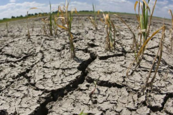 Sequías enormes en la Argentina afectan la industria del agro a niveles críticos