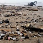 Plásticos arrastrados por las corrientes a Playa Grande – Sostenibilidad en Grande