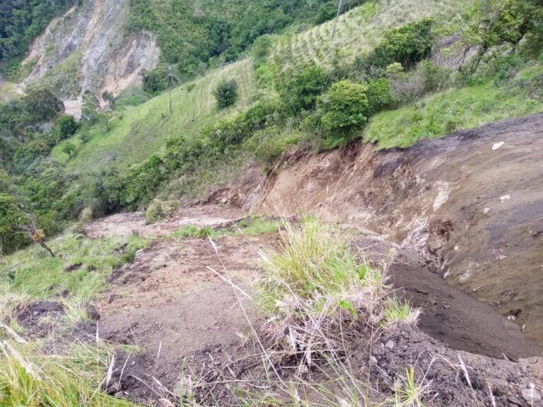 Gobernación del Tolima articula acciones ante emergencia en Roncesvalles