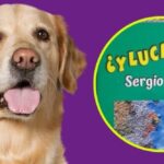lucrecia-libro-