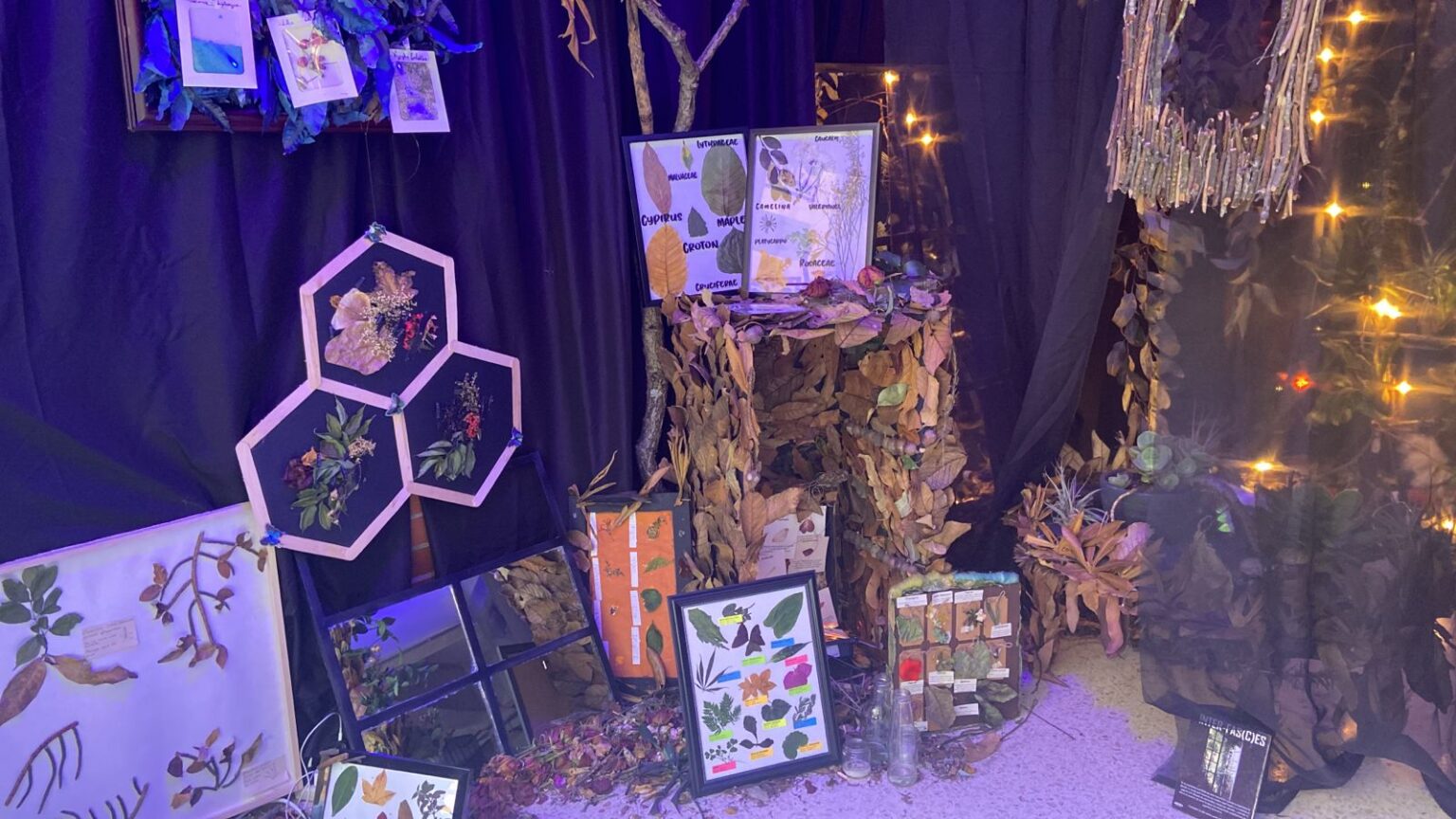 Conozca la instalación INTER-FAS(C)ES, una mirada post-humanista del mundo