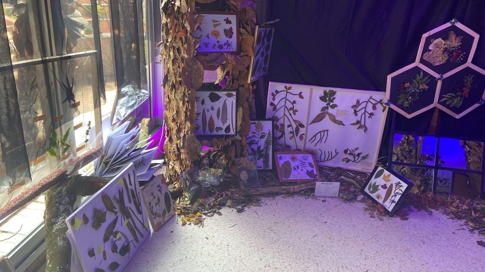 Conozca la instalación INTER-FAS(C)ES, una mirada post-humanista del mundo