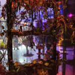 Muestra Jaguar Instalación lote 2- (9)