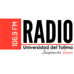 universidad del tolima cudrado