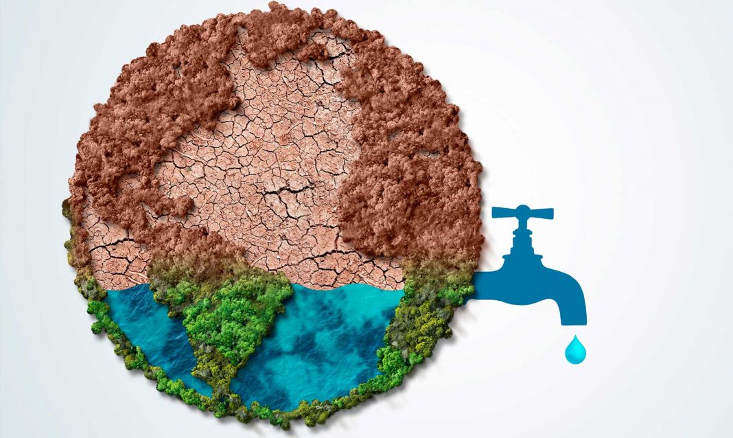 Foto de: Ecología Útil.