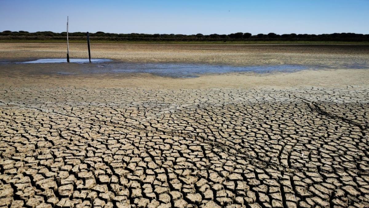 Según OMS más de 2000 millones de personas sufren escasez de agua en el ...