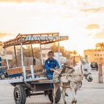 Niño con burro carreta