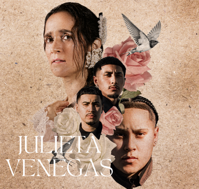 julieta venegas - web