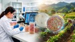 fundases_ia_laboratorio
